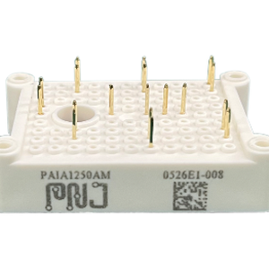 Product-PN Junction power component SiC MODULE-PAIA1250AM